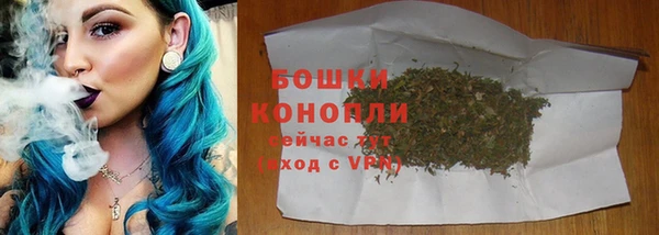 сатива Инсар