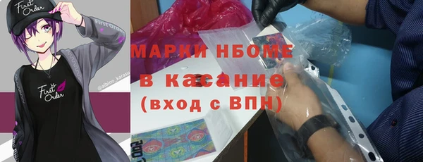 сатива Инсар