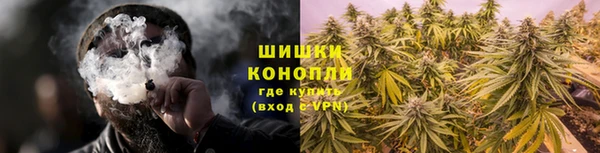 сатива Инсар