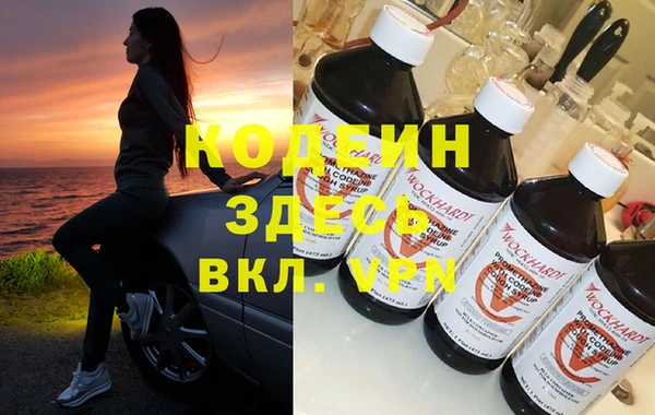 сатива Инсар