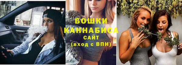 сатива Инсар