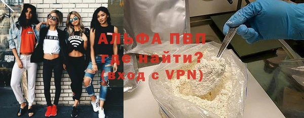 сатива Инсар