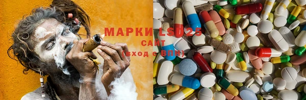 прущая мука Иннополис