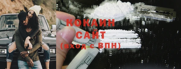 сатива Инсар