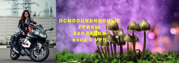 прущая мука Иннополис