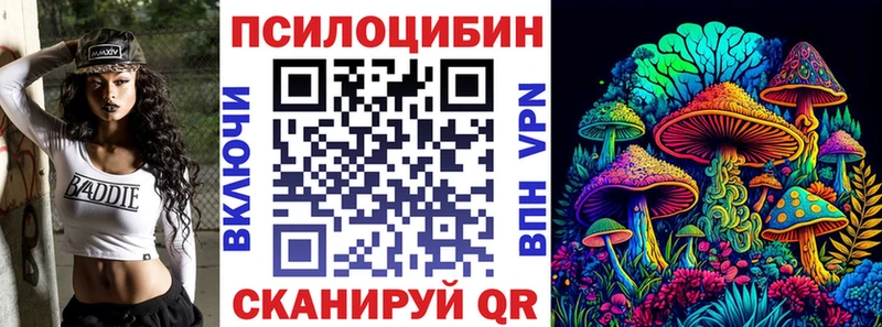 Псилоцибиновые грибы Psilocybe  Купить закладки  Шлиссельбург 